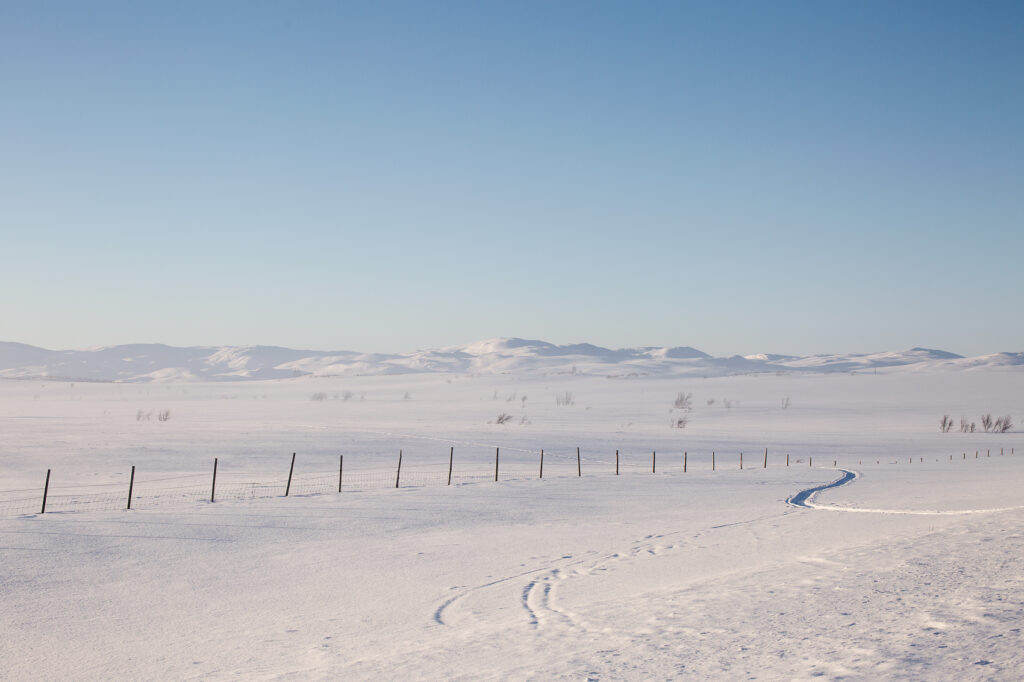 Snødekket vidda