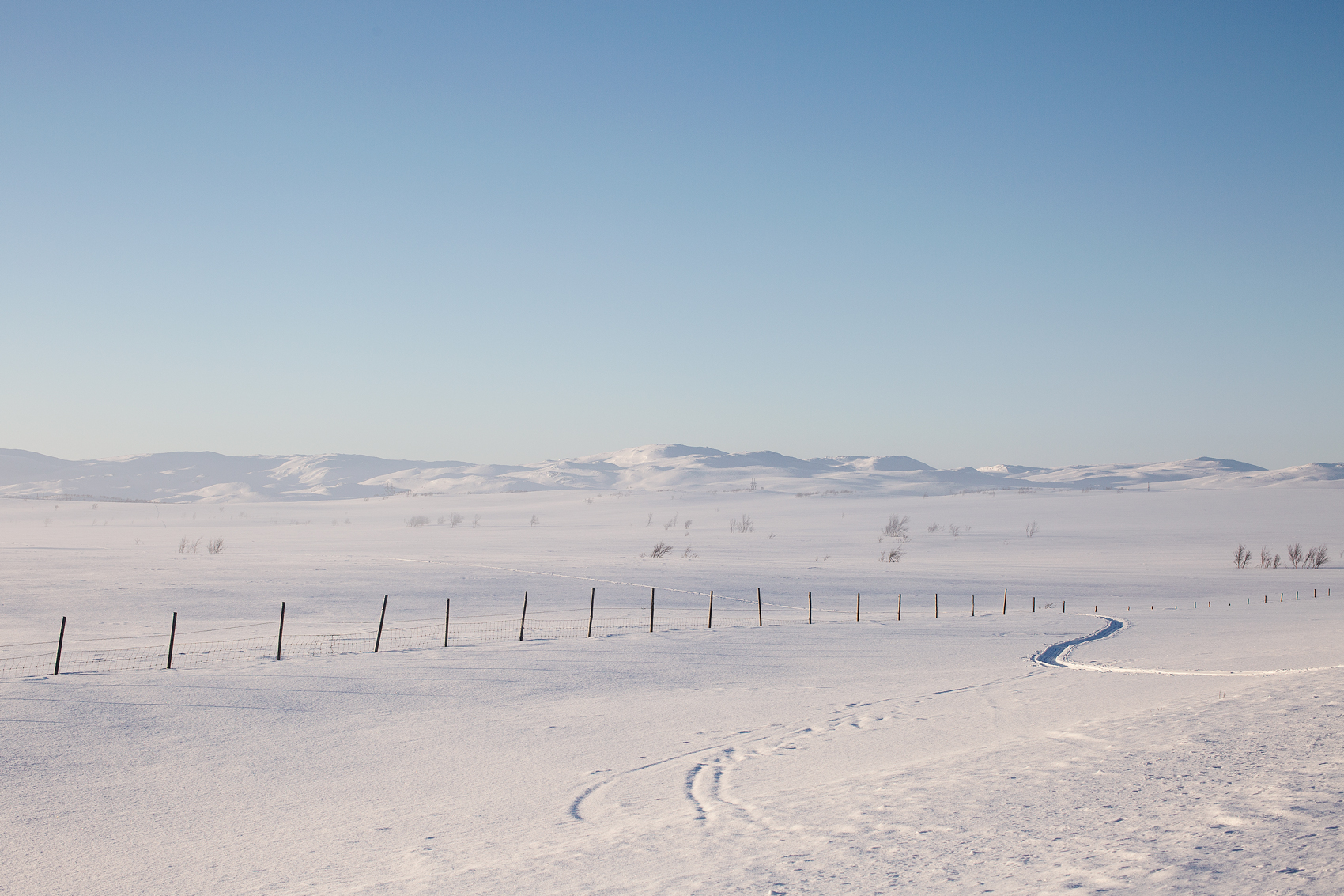 Snødekket vidda