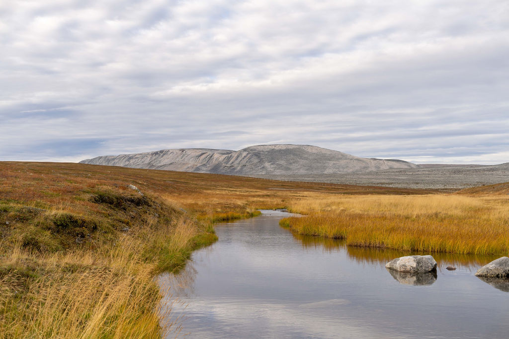 Naturen i Øst Finnmark