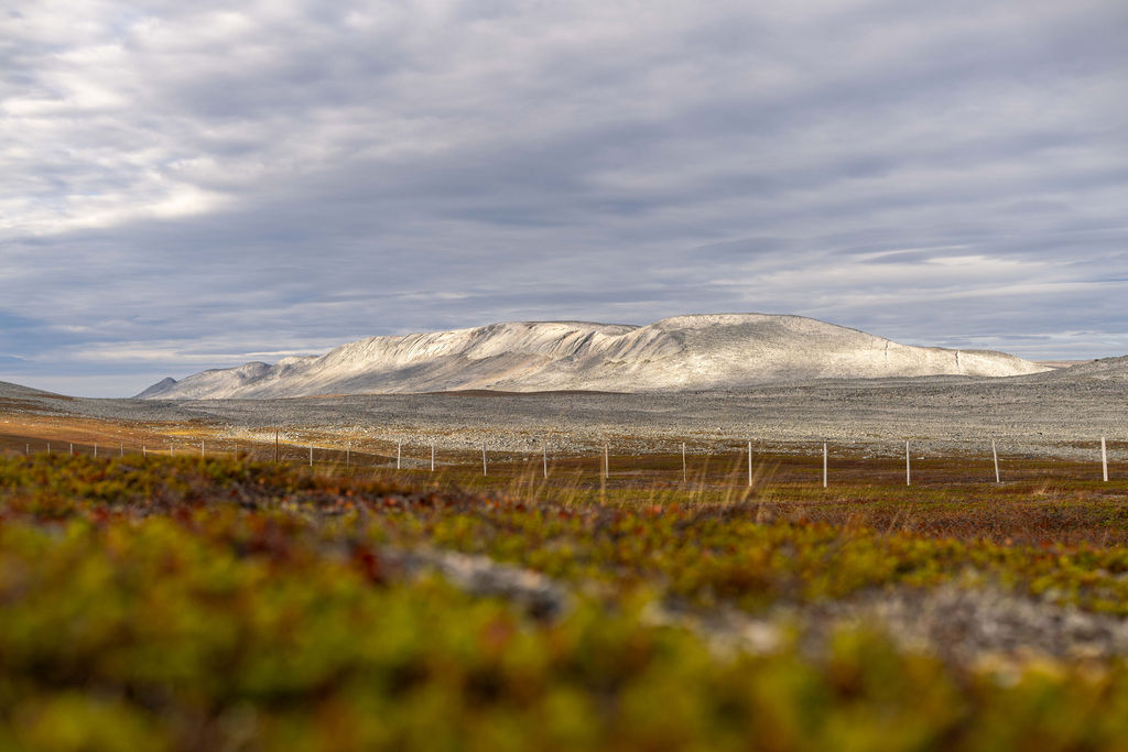 uberørt natur i øst finnmark, fjell, lyngen