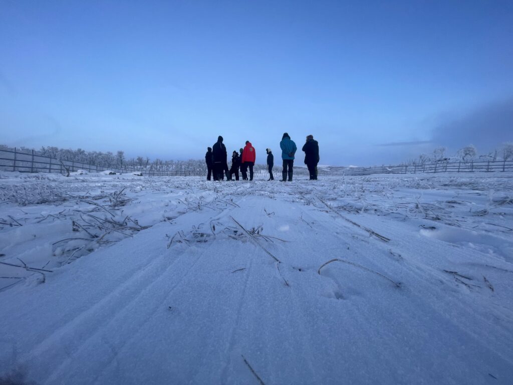 VE på seidafjellet